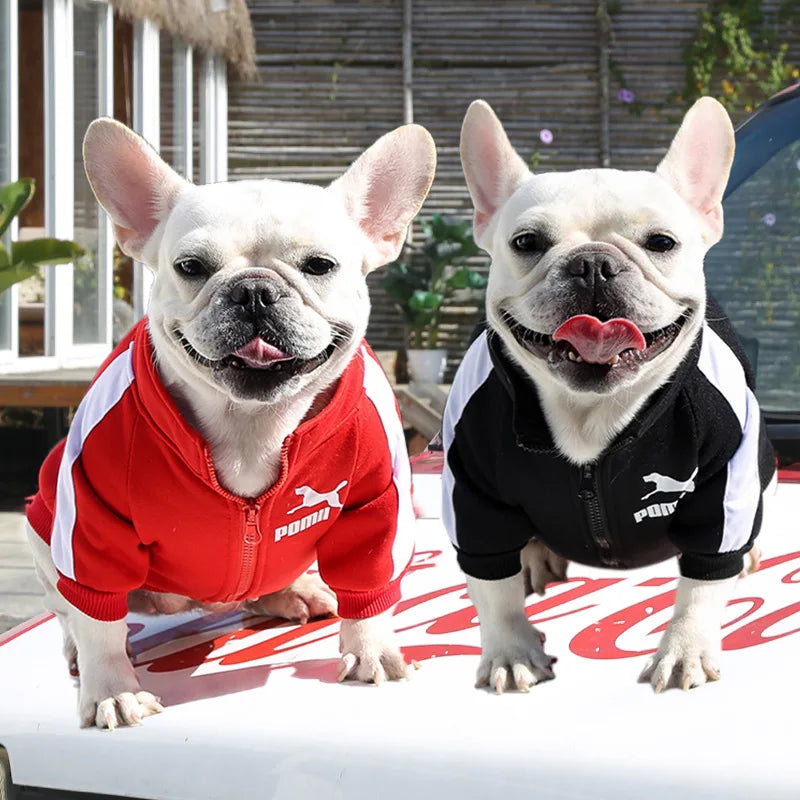 Cozy Baseball Dog Jacket