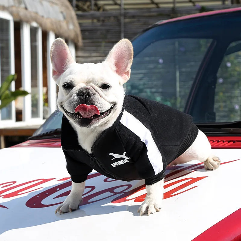 Cozy Baseball Dog Jacket