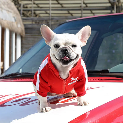 Cozy Baseball Dog Jacket