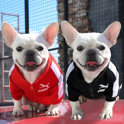 Cozy Baseball Dog Jacket
