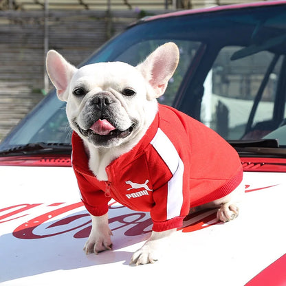Cozy Baseball Dog Jacket