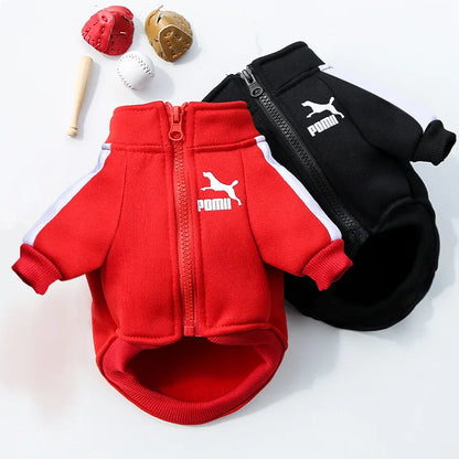 Cozy Baseball Dog Jacket