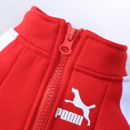 Cozy Baseball Dog Jacket