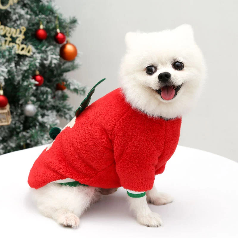 Holly Jolly Pet Sweater